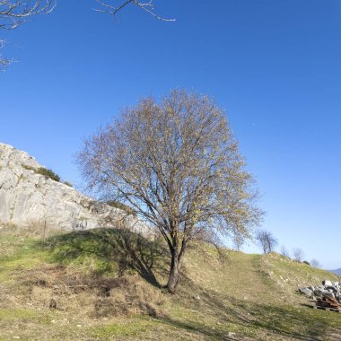 Philippi, Doğu Makedonya ve Trakya arkeolojik alanda antik kalıntılar, Yunanistan