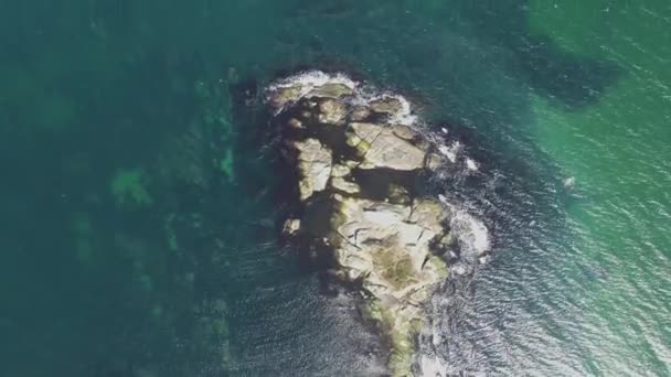 Vista Aerea Della Costa Del Mar Nero Vicino Villaggio Lozenets — Video Stock