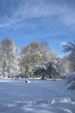 Bulgaristan 'ın Sofya kentindeki South Park' ın şaşırtıcı kış manzarası