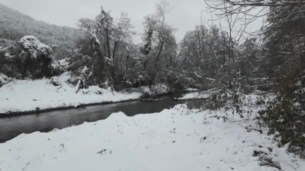 パンチャレボ湖近くのイスカル川の冬景 ソフィア市地域 ブルガリア — ストック動画