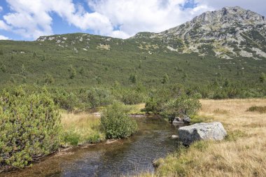 Bulgaristan 'ın Balık Gölleri yakınlarındaki Rila Dağı manzarası