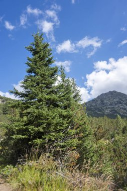 Amazing Landscape of Rila mountain near The Fish Lakes (Ribni Ezera), Bulgaria