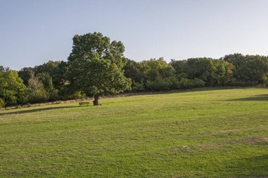 Bulgaristan 'ın Burgaz bölgesinin Primorsko kenti yakınlarındaki Antik Sığınak manzarası başladı