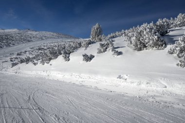 Bulgaristan 'ın Musala zirvesi yakınlarındaki Rila Dağı' nın şaşırtıcı kış manzarası