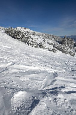 Bulgaristan 'ın Musala zirvesi yakınlarındaki Rila Dağı' nın şaşırtıcı kış manzarası