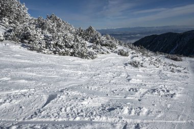 Bulgaristan 'ın Musala zirvesi yakınlarındaki Rila Dağı' nın şaşırtıcı kış manzarası