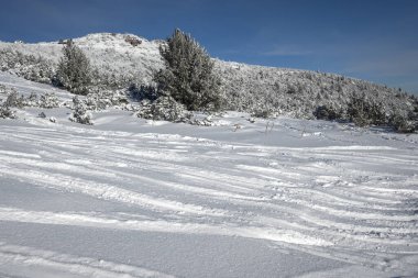 Bulgaristan 'ın Musala zirvesi yakınlarındaki Rila Dağı' nın şaşırtıcı kış manzarası