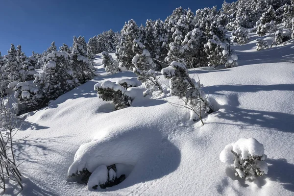 Erstaunliche Winter Ansicht Des Rila Gebirges Der Nähe Von Musala — Stockfoto