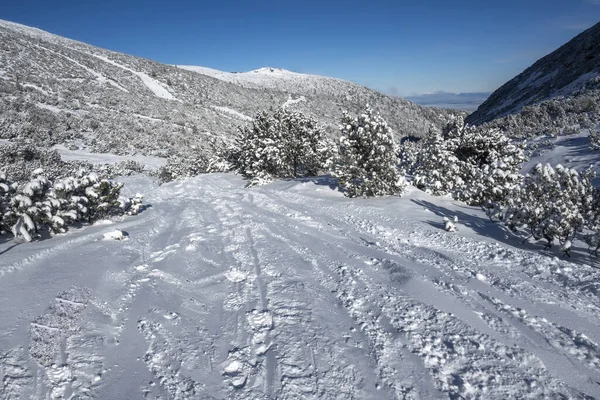 Erstaunliche Winter Ansicht Des Rila Gebirges Der Nähe Von Musala — Stockfoto