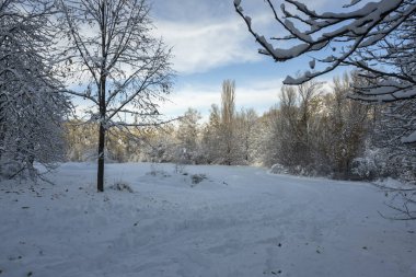 Bulgaristan 'ın Sofya kentindeki South Park' ın şaşırtıcı kış manzarası