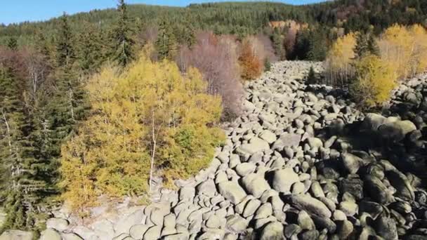Vedere Aeriană Toamnă Râului Stone Cunoscut Sub Numele Zlatnite Mosove — Videoclip de stoc