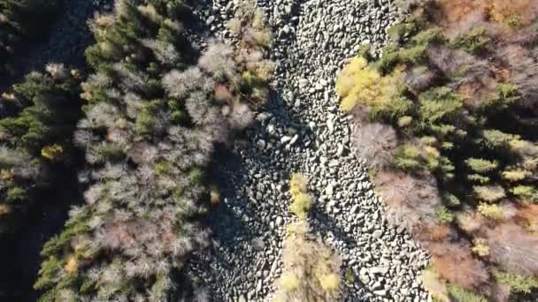 Vue Aérienne Automne Rivière Stone Connue Sous Nom Zlatnite Mostove — Video
