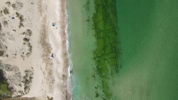 Vista Aerea Della Costa Del Mar Nero Vicino Alla Spiaggia — Video Stock