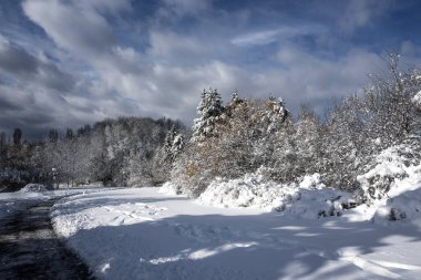 Bulgaristan 'ın Sofya kentindeki South Park' ın şaşırtıcı kış manzarası