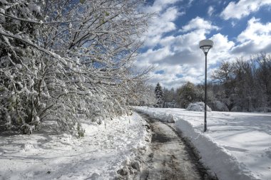 Bulgaristan 'ın Sofya kentindeki South Park' ın şaşırtıcı kış manzarası