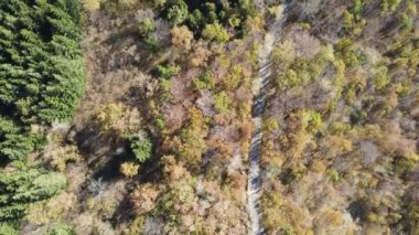 Bulgaristan 'ın Vitosha Dağı' nın İnanılmaz Sonbaharı