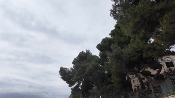 Panoramautsikt Över Staden Monte Carlo Monaco — Stockvideo