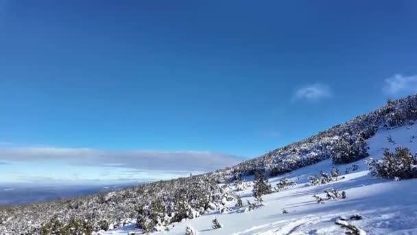 Incrível Vista Inverno Montanha Pirin Perto Polezhan Bezbog Peaks Bulgária — Vídeo de Stock