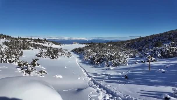 Amazing Winter View Pirin Mountain Közelében Polezhan Bezbog Peaks Bulgária — Stock videók