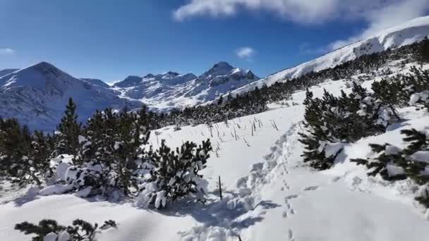 Úžasný Zimní Pohled Horu Pirin Poblíž Polezhan Bezbog Peaks Bulharsko — Stock video