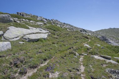 Bulgaristan 'ın Kalin zirvesi yakınlarındaki Rila Dağı' nın İnanılmaz Yaz Manzarası