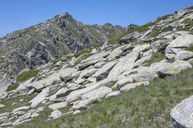 Bulgaristan 'ın Kalin zirvesi yakınlarındaki Rila Dağı' nın İnanılmaz Yaz Manzarası