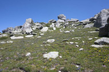 Bulgaristan 'ın Kalin zirvesi yakınlarındaki Rila Dağı' nın İnanılmaz Yaz Manzarası