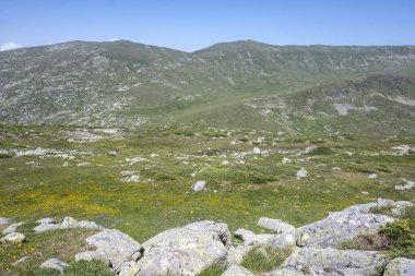 Bulgaristan 'ın Kalin zirvesi yakınlarındaki Rila Dağı' nın İnanılmaz Yaz Manzarası