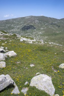 Bulgaristan 'ın Kalin zirvesi yakınlarındaki Rila Dağı' nın İnanılmaz Yaz Manzarası