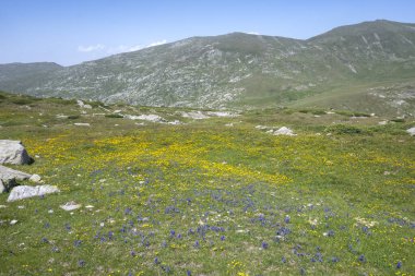 Bulgaristan 'ın Kalin zirvesi yakınlarındaki Rila Dağı' nın İnanılmaz Yaz Manzarası