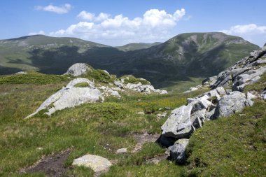 Bulgaristan 'ın Kalin zirvesi yakınlarındaki Rila Dağı' nın İnanılmaz Yaz Manzarası