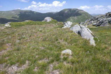 Bulgaristan 'ın Kalin zirvesi yakınlarındaki Rila Dağı' nın İnanılmaz Yaz Manzarası