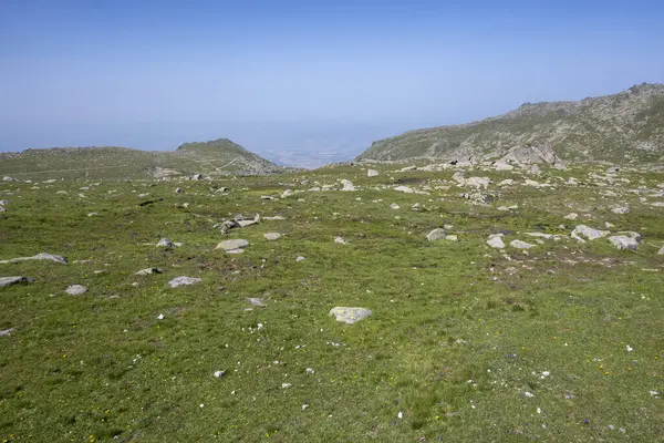 Bulgaristan 'ın Kalin zirvesi yakınlarındaki Rila Dağı' nın İnanılmaz Yaz Manzarası