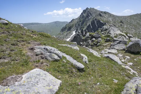 Bulgaristan 'ın Kalin zirvesi yakınlarındaki Rila Dağı' nın İnanılmaz Yaz Manzarası
