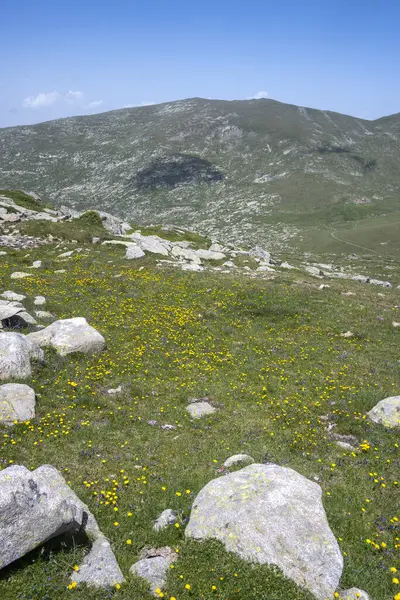 Bulgaristan 'ın Kalin zirvesi yakınlarındaki Rila Dağı' nın İnanılmaz Yaz Manzarası