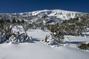 Bulgaristan 'ın Polezhan ve Bezbog Tepeleri yakınlarındaki Pirin Dağı' nın muhteşem kış manzarası