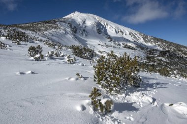 Bulgaristan 'ın Polezhan ve Bezbog Tepeleri yakınlarındaki Pirin Dağı' nın muhteşem kış manzarası