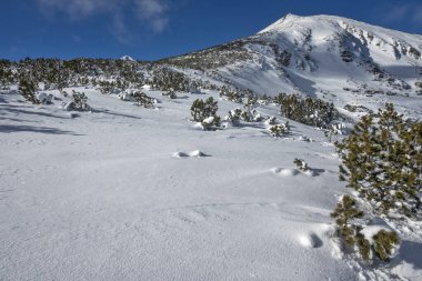 Bulgaristan 'ın Polezhan ve Bezbog Tepeleri yakınlarındaki Pirin Dağı' nın muhteşem kış manzarası