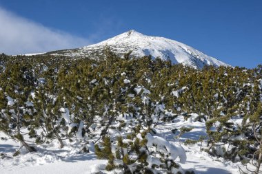 Bulgaristan 'ın Polezhan ve Bezbog Tepeleri yakınlarındaki Pirin Dağı' nın muhteşem kış manzarası