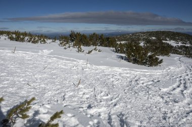 Bulgaristan 'ın Polezhan ve Bezbog Tepeleri yakınlarındaki Pirin Dağı' nın muhteşem kış manzarası