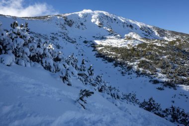 Bulgaristan 'ın Polezhan ve Bezbog Tepeleri yakınlarındaki Pirin Dağı' nın muhteşem kış manzarası