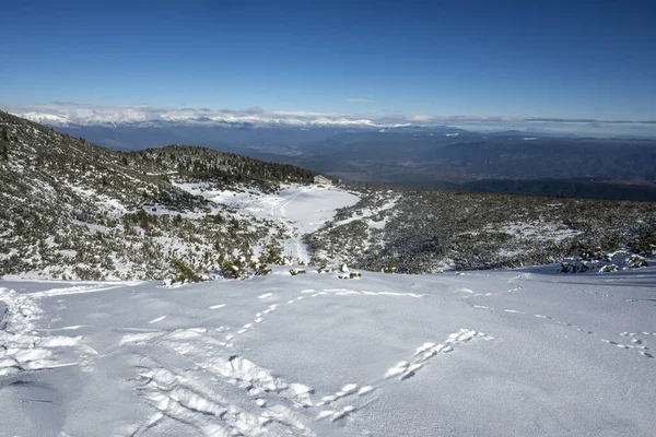 Erstaunliche Winter Ansicht Des Pirin Gebirges Der Nähe Von Polezhan — Stockfoto