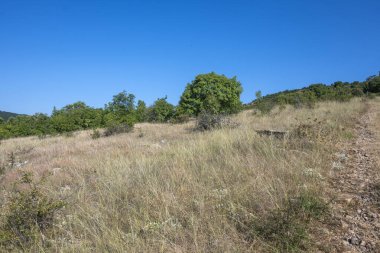 Rudina Dağı, Pernik Bölgesi, Bulgaristan 'ın İnanılmaz Yaz Manzarası