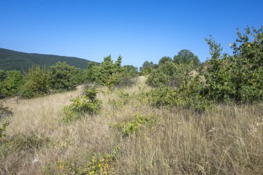 Rudina Dağı, Pernik Bölgesi, Bulgaristan 'ın İnanılmaz Yaz Manzarası