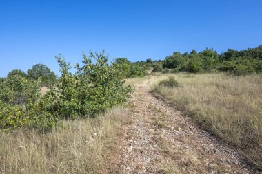 Rudina Dağı, Pernik Bölgesi, Bulgaristan 'ın İnanılmaz Yaz Manzarası
