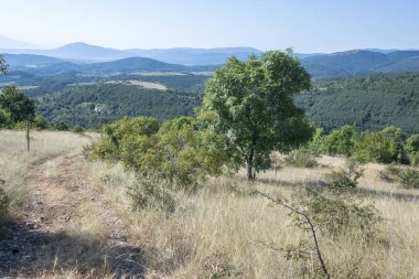 Rudina Dağı, Pernik Bölgesi, Bulgaristan 'ın İnanılmaz Yaz Manzarası
