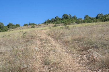 Rudina Dağı, Pernik Bölgesi, Bulgaristan 'ın İnanılmaz Yaz Manzarası