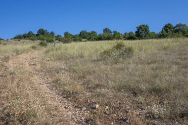 Rudina Dağı, Pernik Bölgesi, Bulgaristan 'ın İnanılmaz Yaz Manzarası