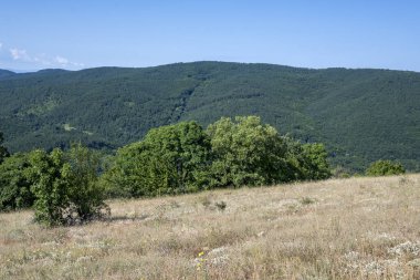 Rudina Dağı, Pernik Bölgesi, Bulgaristan 'ın İnanılmaz Yaz Manzarası
