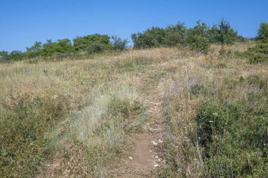 Rudina Dağı, Pernik Bölgesi, Bulgaristan 'ın İnanılmaz Yaz Manzarası